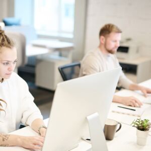 Suivi et maintenance de site WordPress